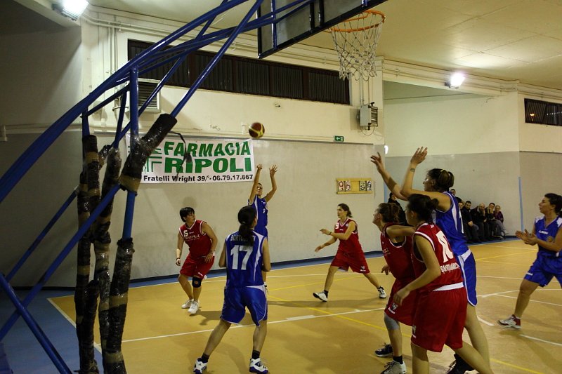 Basket 443093